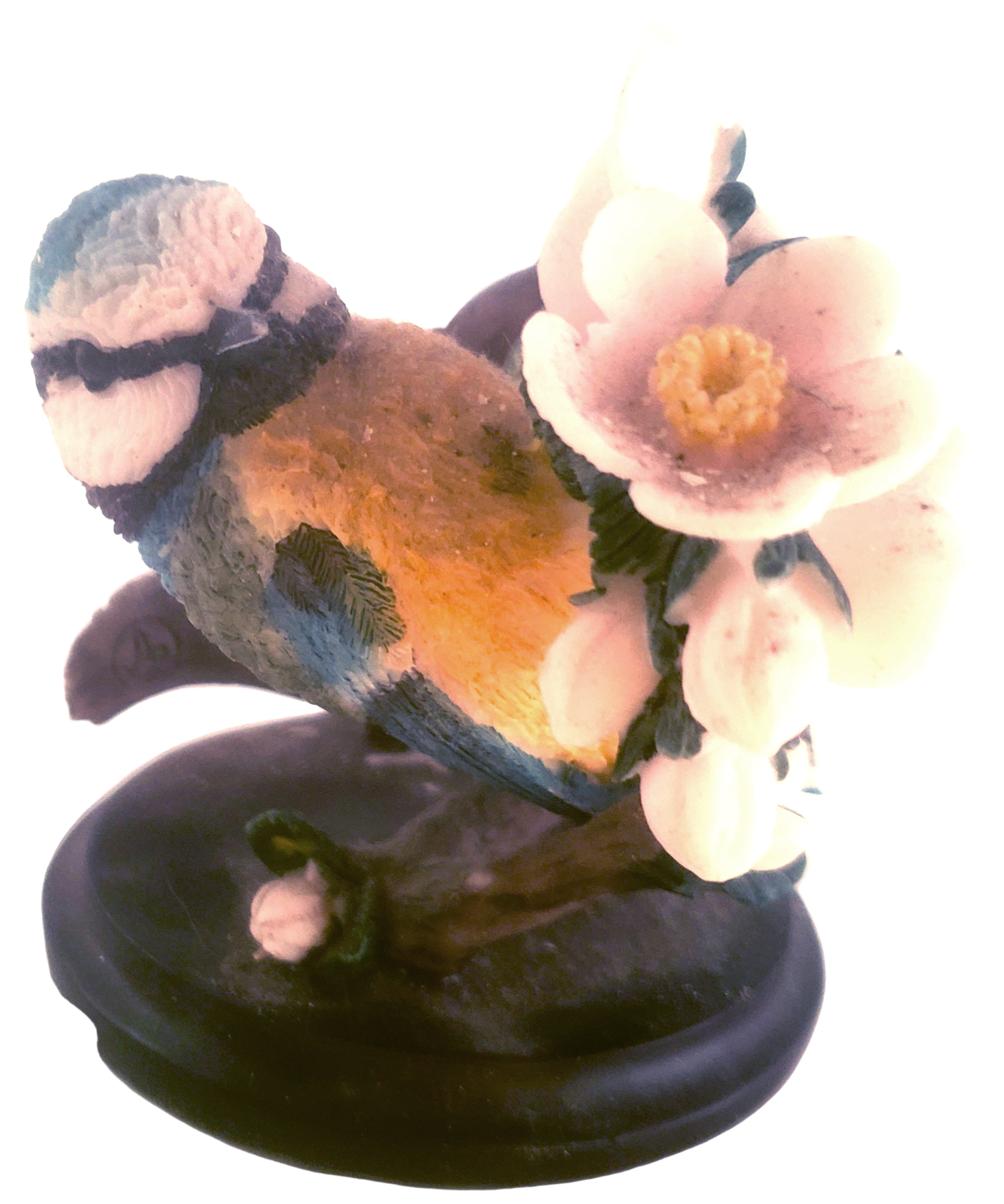 Blue Tit